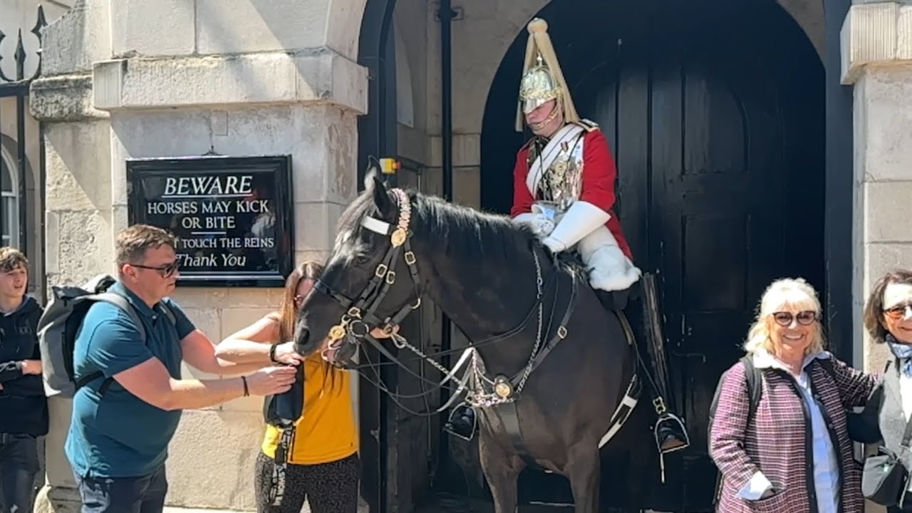 HORSE REALLY HAPPY TO SEE 7FT GUARD! ✨🐎💂| Horse Guards, Royal guard, Kings Guard, Horse, London